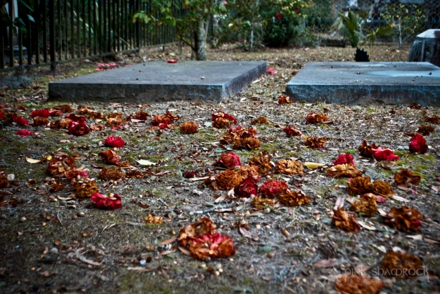 "Mourning Flowers" - Bonaventure Cemetery in Savannah, GA