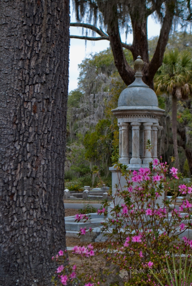 "Life and Death" - Azaleas bloom near a grave at Bonaventure Cemetery in Savannah, GA.